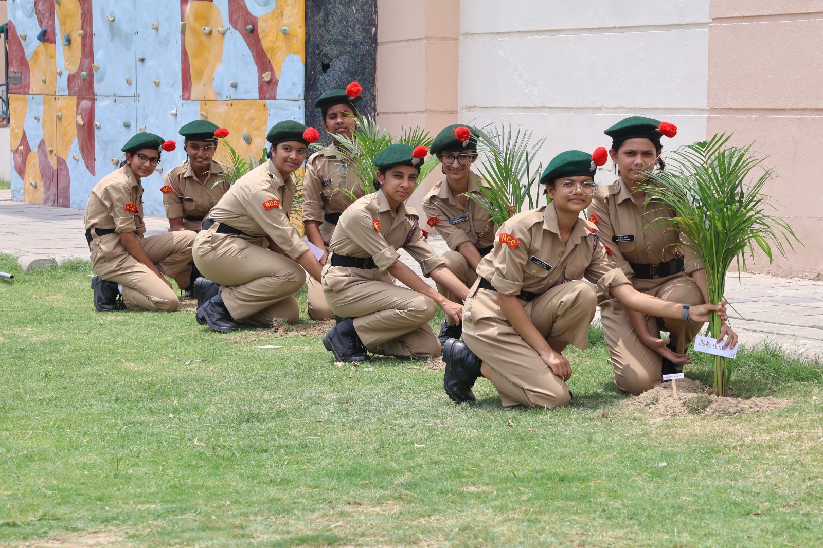 Tree Plantation Drive